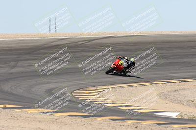 media/Apr-19-2025-CVMA (Sat) [[586b59ad56]]/Race 2-Amateur Formula Open/